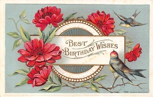 Birthday Wishes