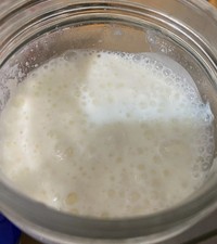 Microbiome Pasteurized Milk Kefir Grains 15 grams 1 tbsp Probiotic NYC Farm