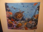 3 FABRIC POSTERS ~ 1 SHARK & 2 TURTLES!!! — photo 6