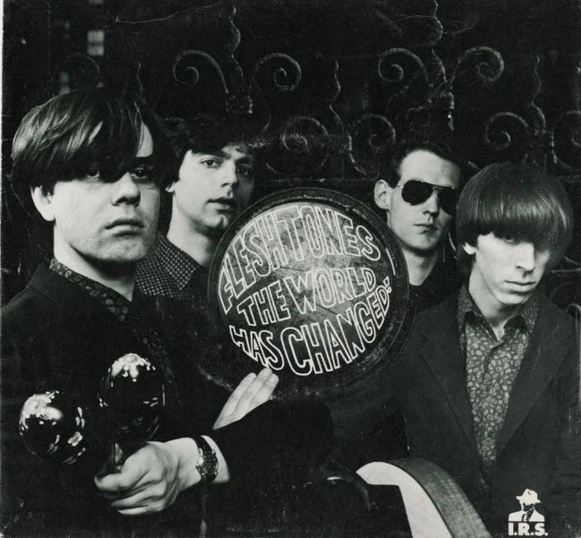 "7"-FLESHTONES- The World Has Changed ~KILLER 80'S GARAGE PUNK - Image 1 of 1
