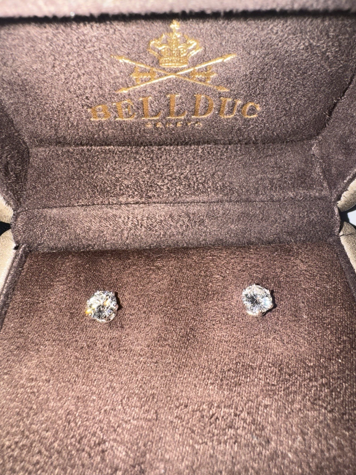 Bellduc Diamond Earring image 2