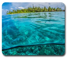 Island Paradise Ocean Beach Resort ~ Mouse Pad / Mousepad ~  Great Calming Gift