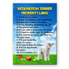 Bedlington Terrier Property Laws FRIDGE MAGNET Funny