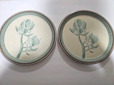 Set of 2 Harrison McIntosh For Mikasa Stone Valley II Cactus Flower Plates 10.5 