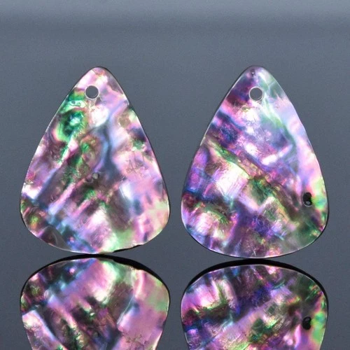 Natural Rainbow Abalone Shell 20x16mm Cabochon Pair Metallic Iridescent 2.20g
