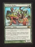 1x MTG Protean Hydra - Magic 2011 (M11) #194 - Magic the Gathering