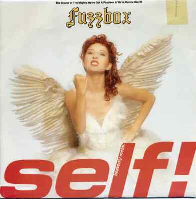 Weve Got A Fuzzbox And Were Gonna Use It Self! Vinyl Single 7inch WEA