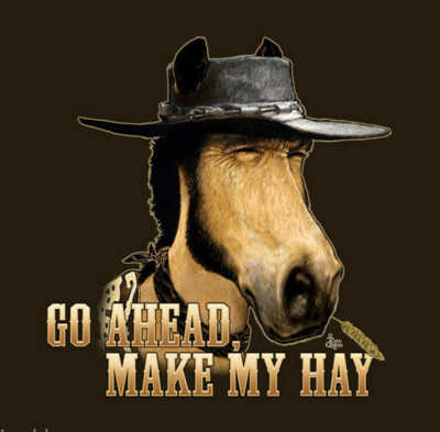 Horse T-Shirt Unisex Make My Hay S M L XL 2XL Cotton NWT Short Sleeve