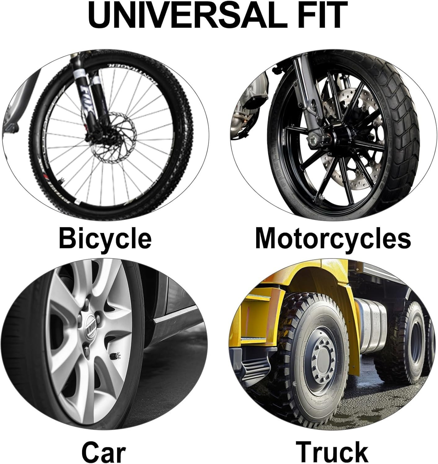 Slide 6