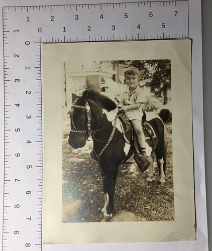 Foto Kind & Shetland Pony Pose 1939 - Bild 3 von 3