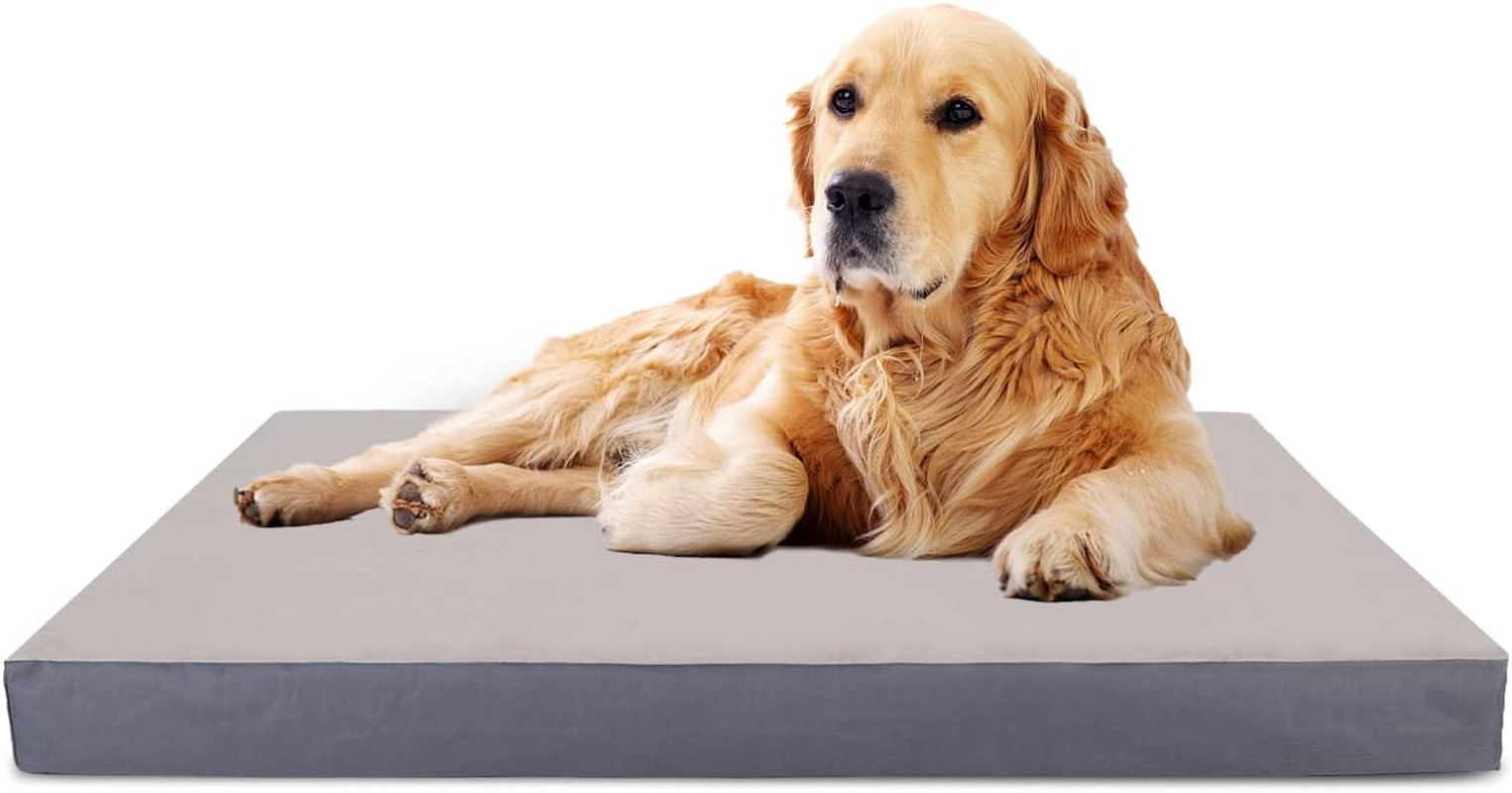 Cuscino Morbido per Cani - Cuccia Accogliente Lavabile e Antiscivolo