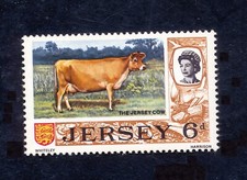 JERSEY - FAUNE VACHE  - 1969