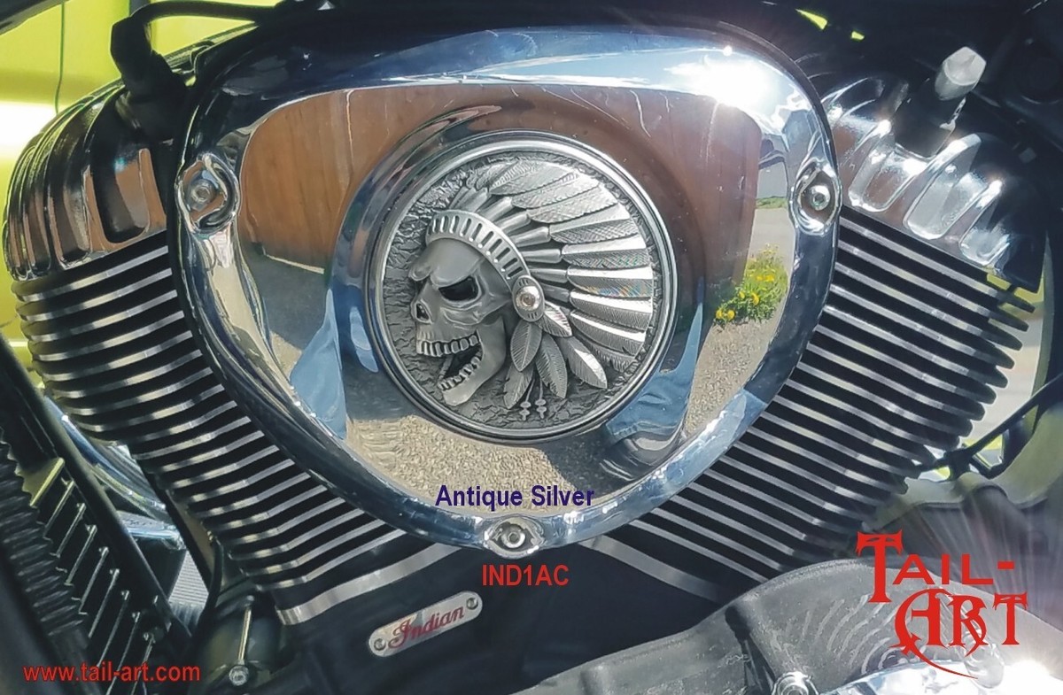 Indian Motorcycle Skull Air Cleaner Cover Insert, Chief, Chieftain