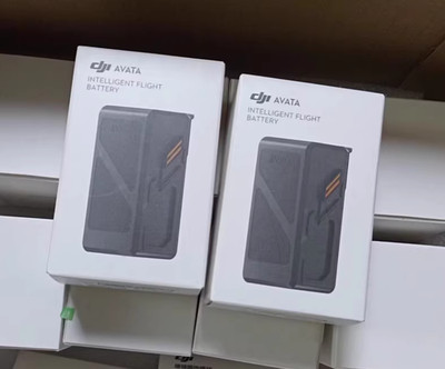 Genuine OEM DJI Avata Intelligent Flight Battery 2420mAh