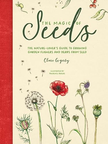 The Magic of Seeds by Clare Gogerty HARDBACK - Image 8
