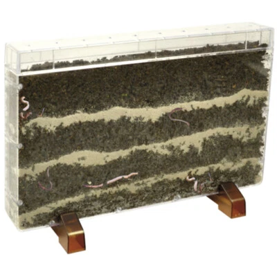 Wurzelhaus Wurmhaus 30x19x4 cm Regenwürmer Schaukasten Beobachten & Erforschen - Bild 1 von 3