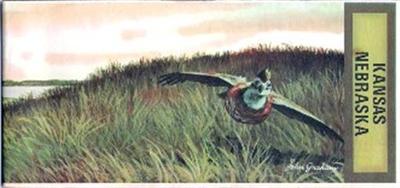 1974 Kerr-McGee DEEP ROCK Quail Road Map KANSAS NEBRASKA Wichita Lincoln Topeka