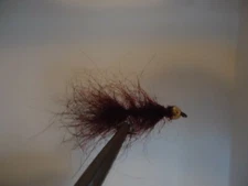 Blood Leech Simi Seal Size 10