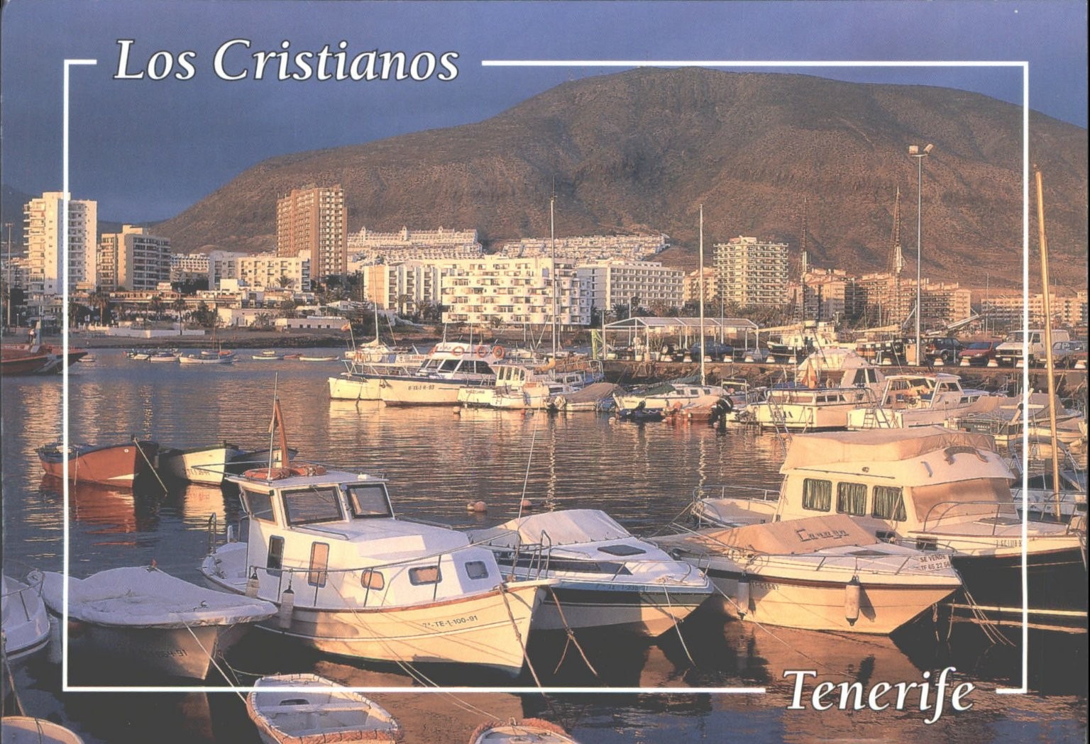 Los Cristianos Marina Tenerife Canary Islands Scenic Photo Postcard