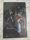 Amazing Spider-Man #48 (2020) Gabrielle Dell’Otto Virgin Variant Unknown