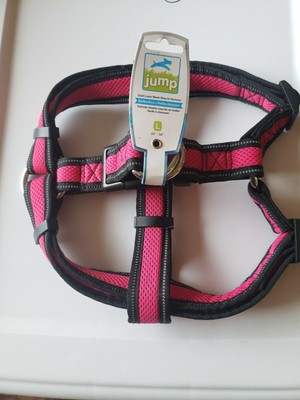 jump step in harness