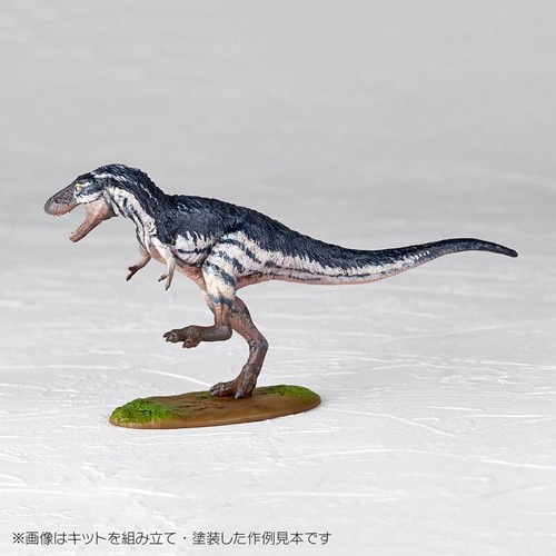 Kaiyodo ARTPLA Researcher and Tyrannosaurus Set 1/35 Model Kit JAPAN OFFICIAL - 第 11/24 張圖片