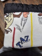 Vintage 90s Warner Bros Taz Nylon Trim Acrylic Blanket