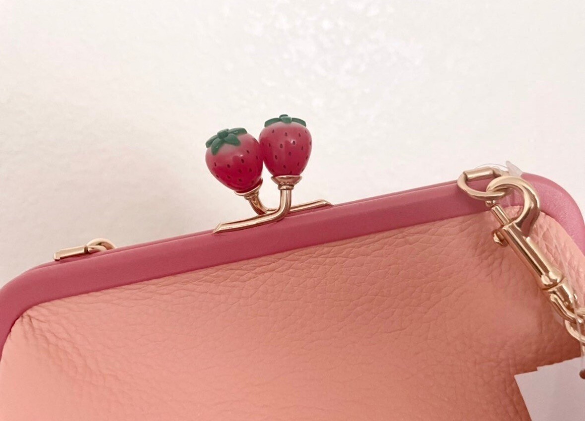 NWT Coach Nora Kisslock Crossbody With Strawberry C8401 | eBay