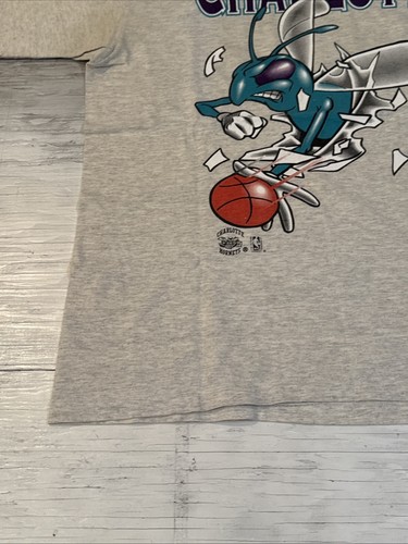 Vintage 90s NBA Nutmeg Charlotte Hornets Breakthrough Basketball Shirt Sz Large - 第 17/24 張圖片