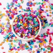1LB Mixed Color Dyed Shell Chips Beads Bulk, Irregular Sea Shell For Jewelry