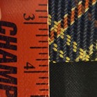 Foto 5 di 6