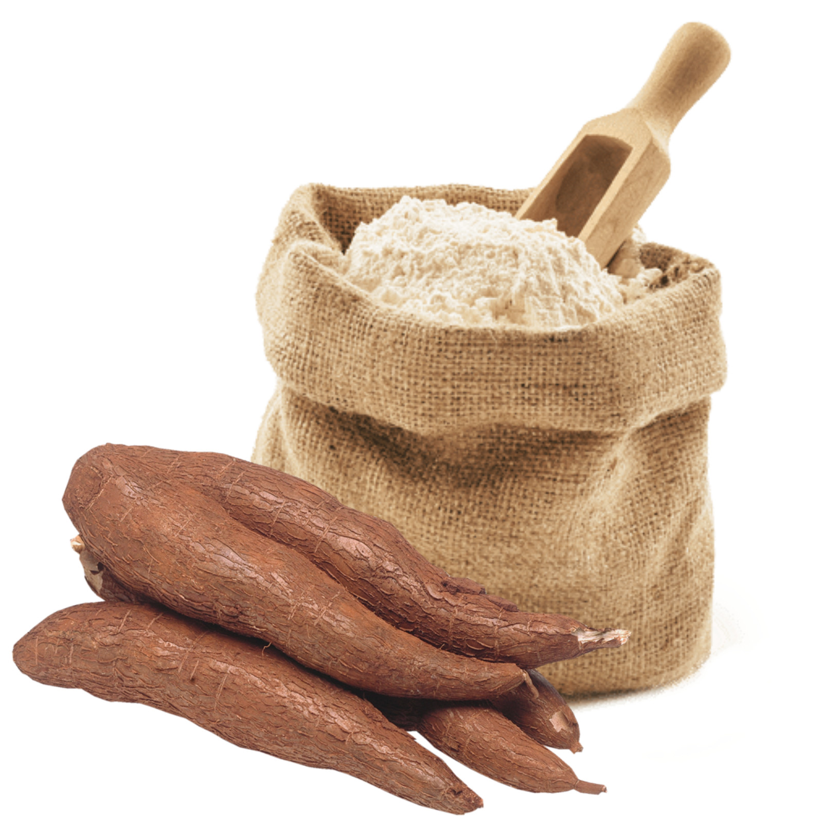 Harina de yuca seca | Tapioca orgánica pura | Mandioca | Almidón de raíz de y...