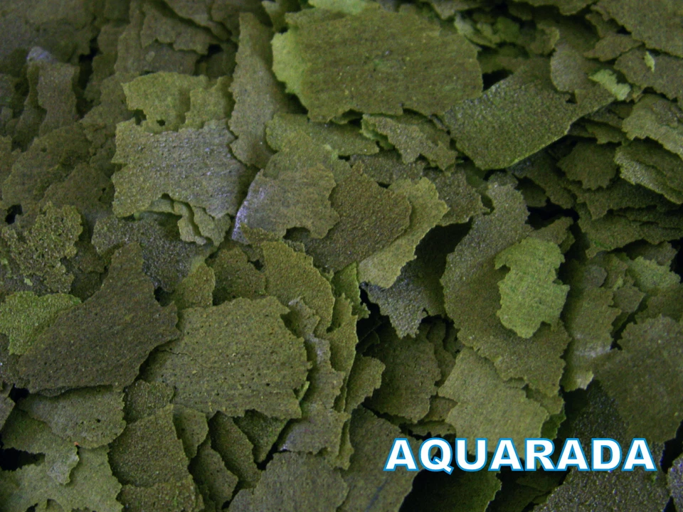 Futterflocken.Flockenfutter Spirulina 500ml Zierfischfutter Fischfutter Aquarium