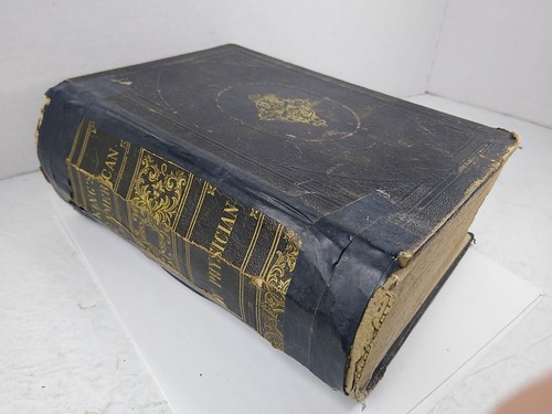 1877 King's New American Family Physician By John King - Afbeelding 3 van 19