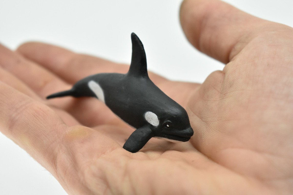 Killer Whale Plastic Replica 3Long ~ F3907-B9 | eBay