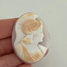 Antique Hand Carved Shell Athena Goddess Of War Oval Loose Cameo