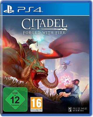 Citadel Forged with Fire