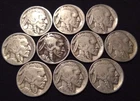 10 different buffalo nickels 1/4 roll 1920-1936 etc horn date indian head coins