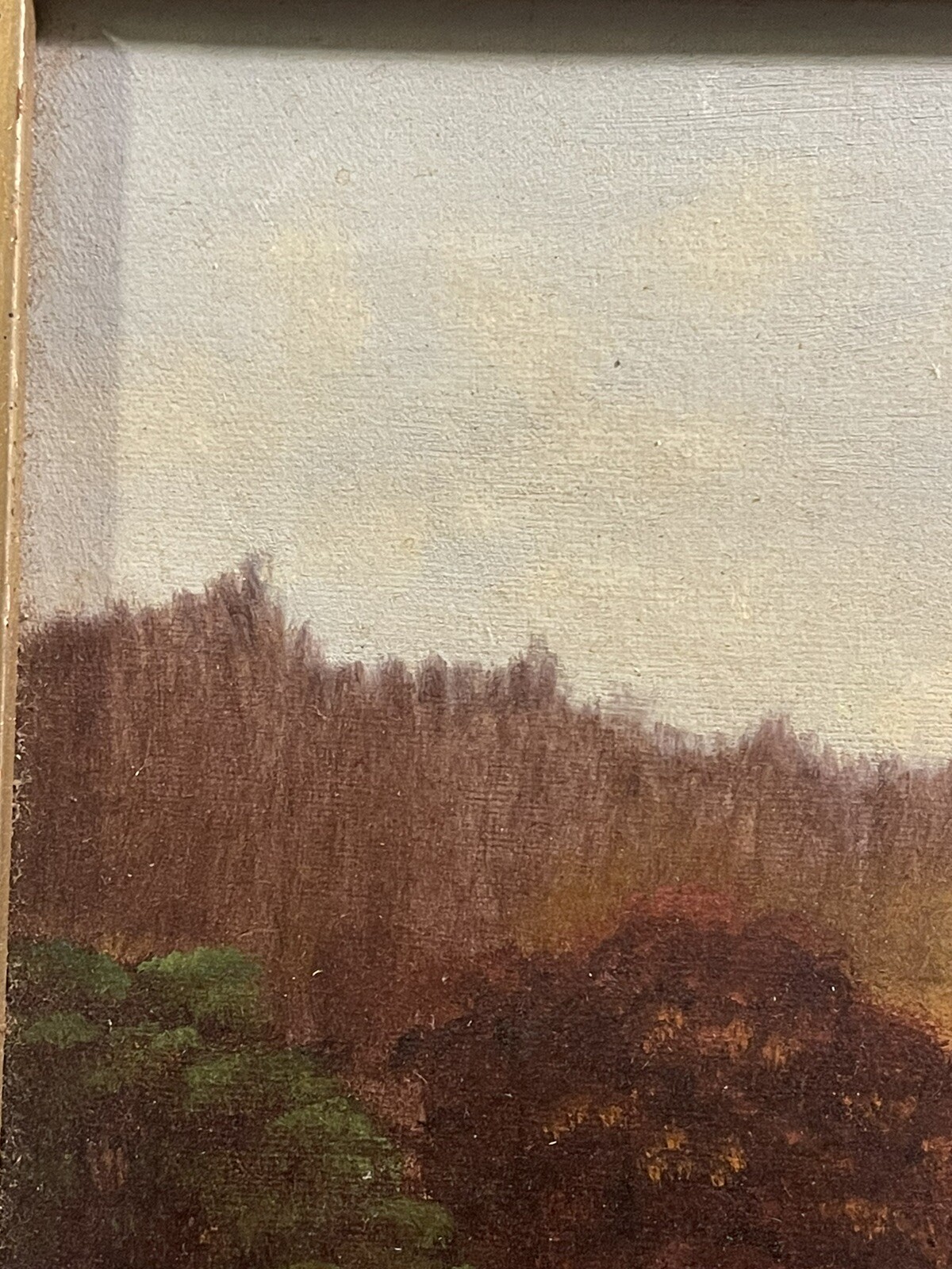 Picture 4 of 17
