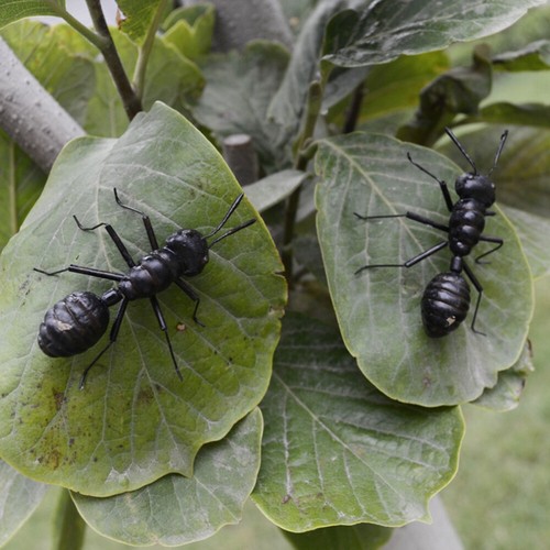 6 Pcs Ant Statue Simulation Ants Model Miniature Figurines Child - Picture 12 of 12