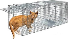 24 In Humane Live Animal Trap Steel Cage for Raccoons Groundhogs Mouse Squirrel
