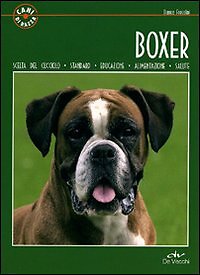Il boxer - [De Vecchi]