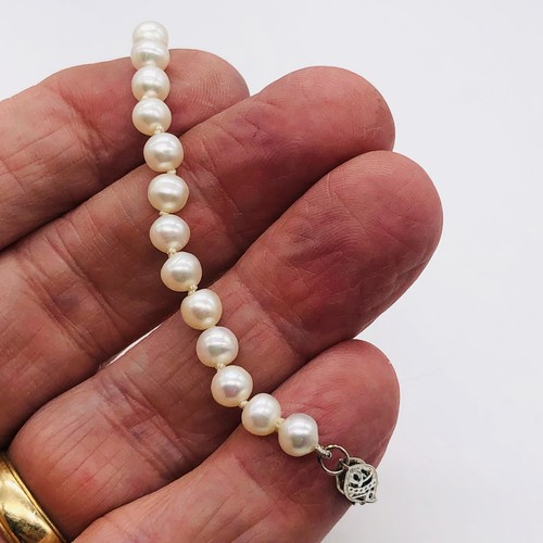 Creamy White 5mm FW Pearl Sterling Silver Bracelet | 7 Inch | - Picture 6 of 12