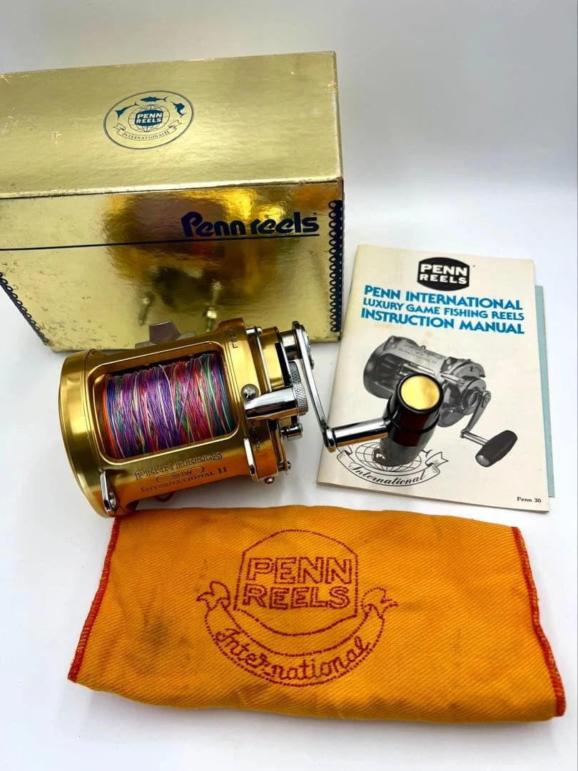 Penn International 30tw | eBay