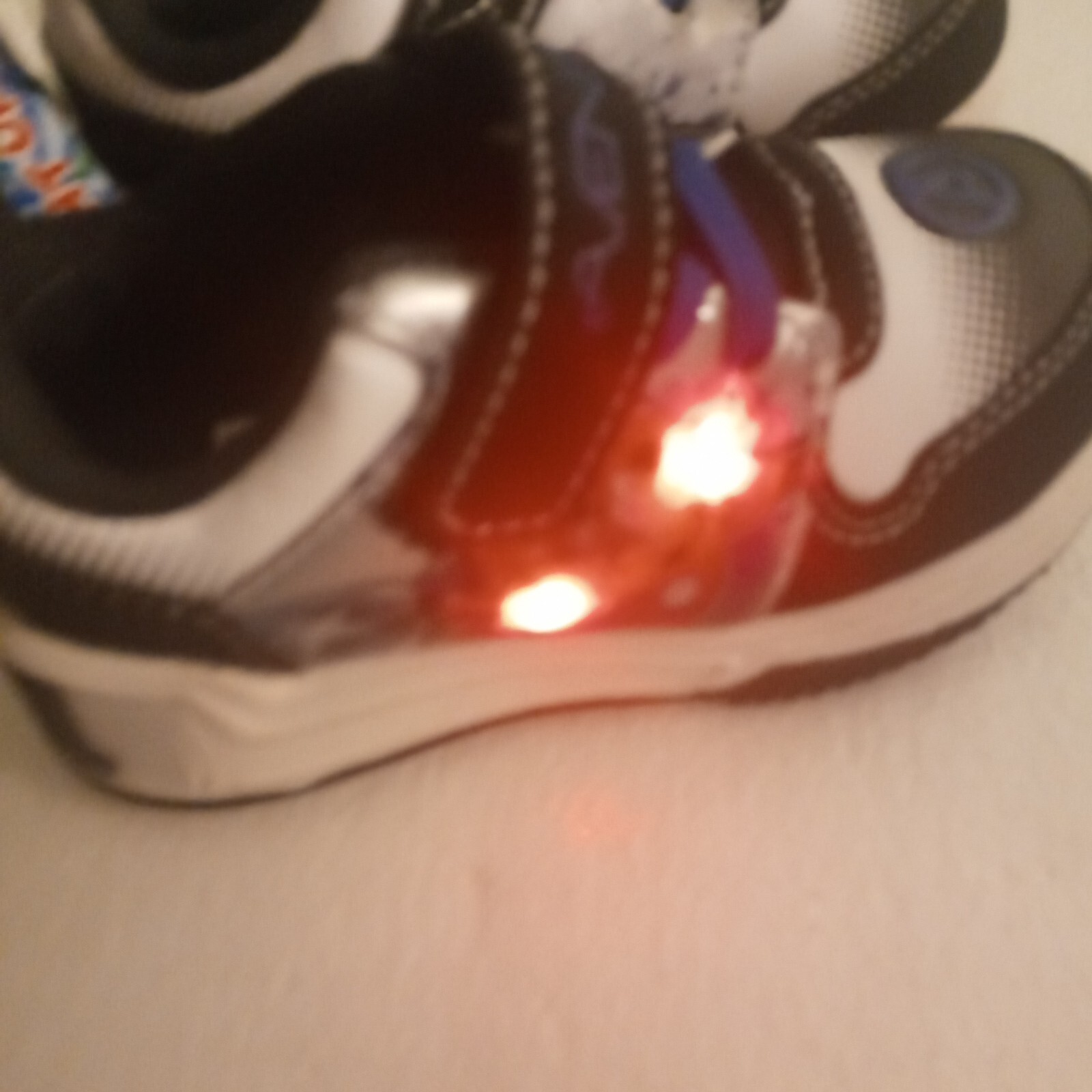Picture 5 of 14