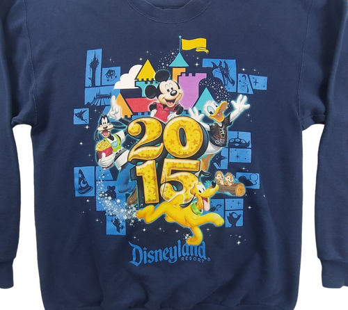 Walt Disney World Hanes Logo Jumper Adults Sz S Navy Long Sleeve Crew Neck 2015 - Picture 2 of 10