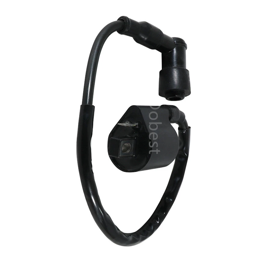 Bobina de encendido para Yamaha TW200 TTR110 TTR125 TW125 YZ80 TTR90 TTR125LWE TTR125R Foto 2 de 4