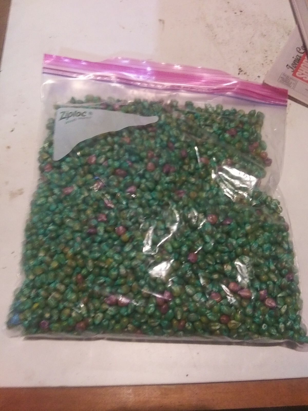 Roundup Ready Field Corn 98 day RM Wildlife Food Plots 10 lb eBay