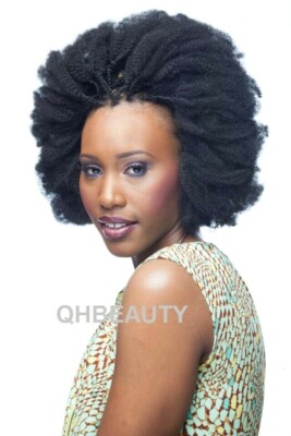 Afro Kinky 24 Inch Cherish Synthetic Braiding Hair Extensions Ebay