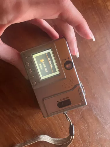 Item Picture